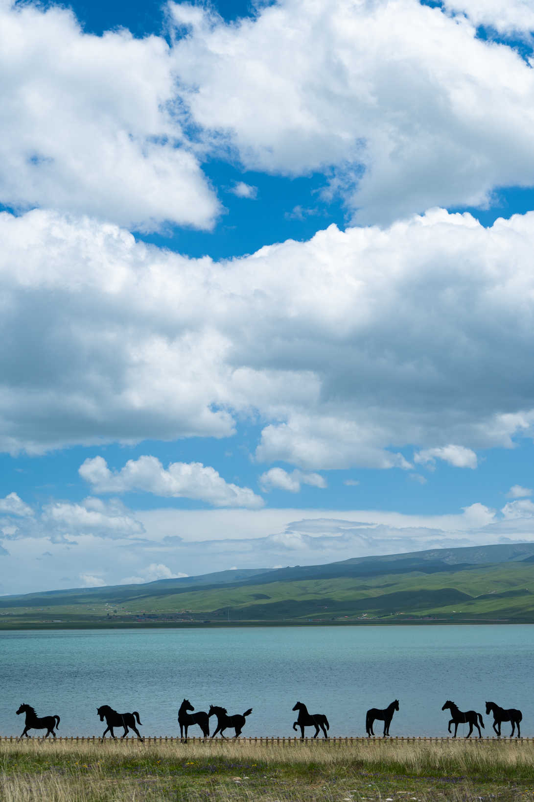 西北系列 DSC_0552